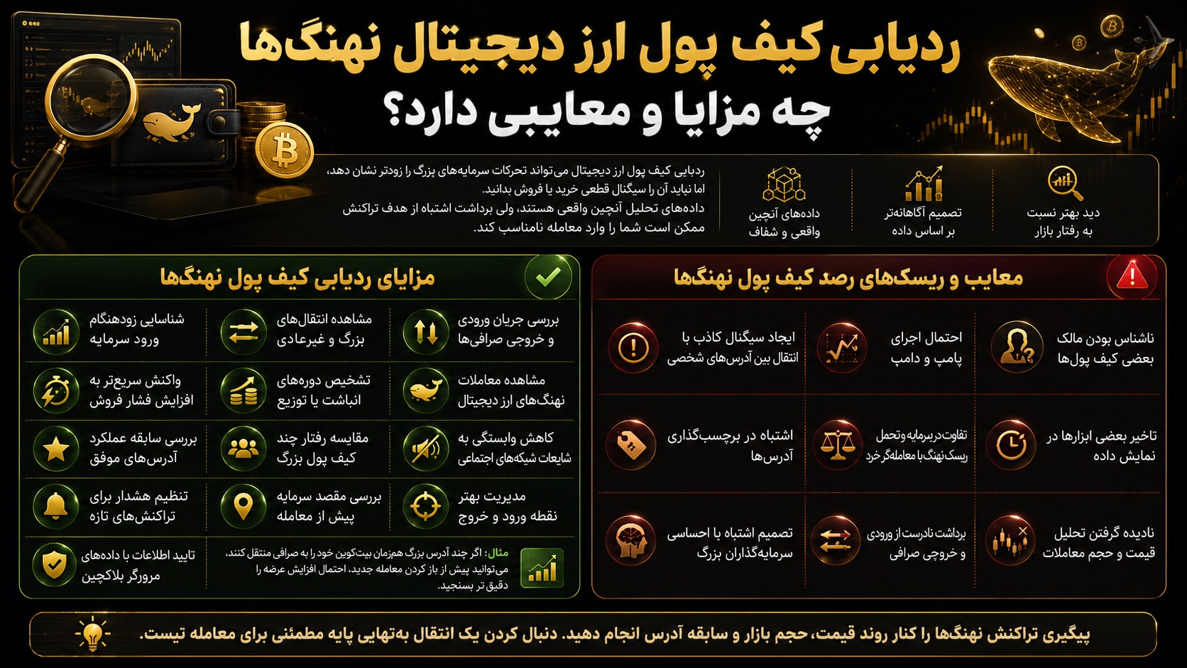 ردیابی کیف پول ارز دیجیتال نهنگها چه مزایا و معایبی دارد؟